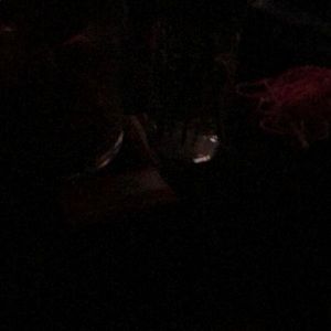 Meet your Posher, Tim